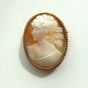 Vintage AMCO Carved Shell Cameo Brooch